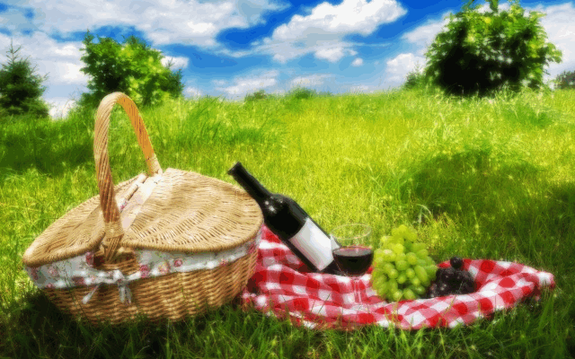 Koszyk z winem i winogronami na łące